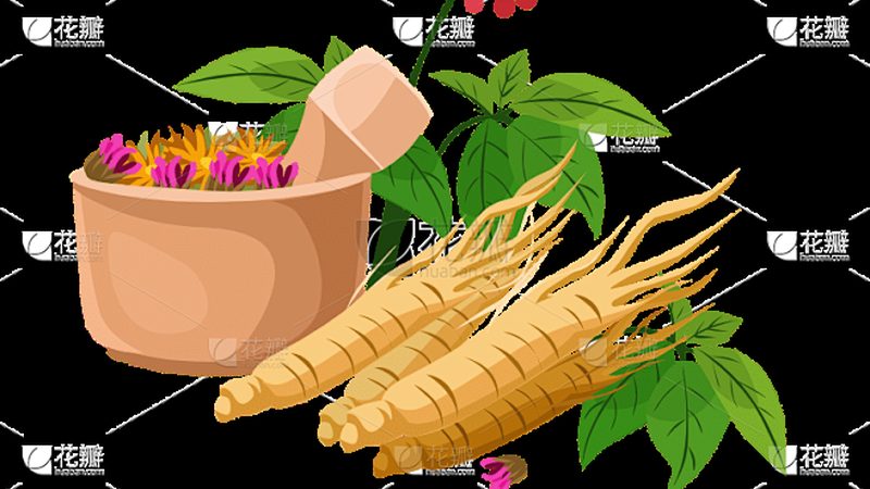 理疗馆按摩床：规格尺寸背后的专业考量