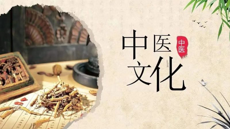 老年人推拿保健器材生产厂家
